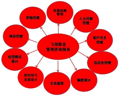 管理咨詢(xún)服務(wù)哪家強(qiáng)？專(zhuān)業(yè)信息咨詢(xún)機(jī)構(gòu)的選擇與考量